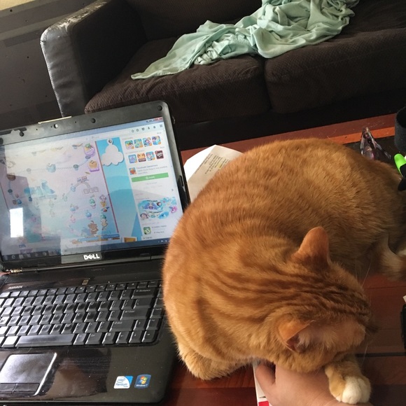 Meet your Posher, Daya - Picture 2 of 4